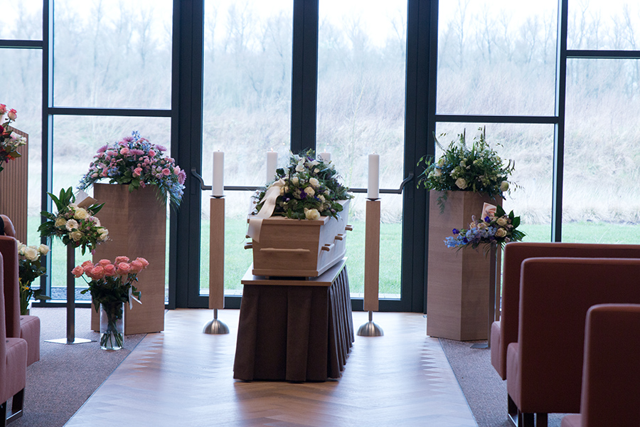 EOS 70D__2024_02_10_00063434