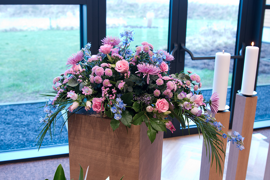 EOS 70D__2024_02_10_00063321