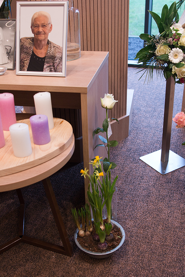 EOS 70D__2024_02_10_00063300