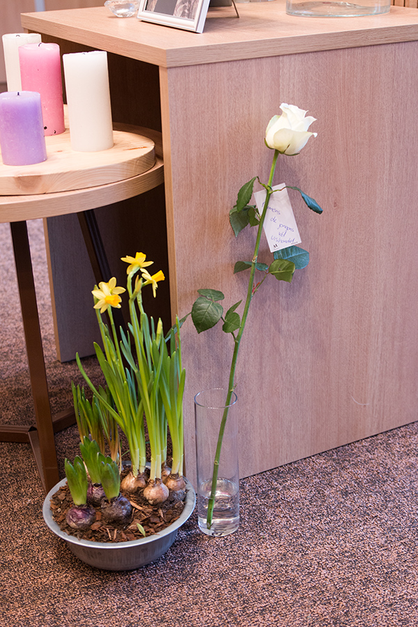 EOS 70D__2024_02_10_00063306